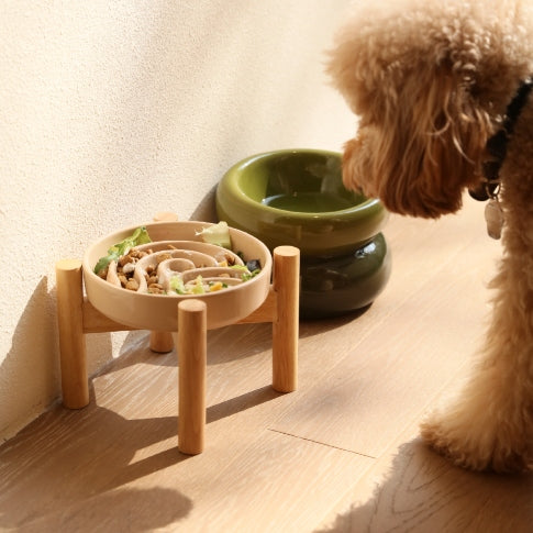 [Wave] Slow Feeder Dog Bowls