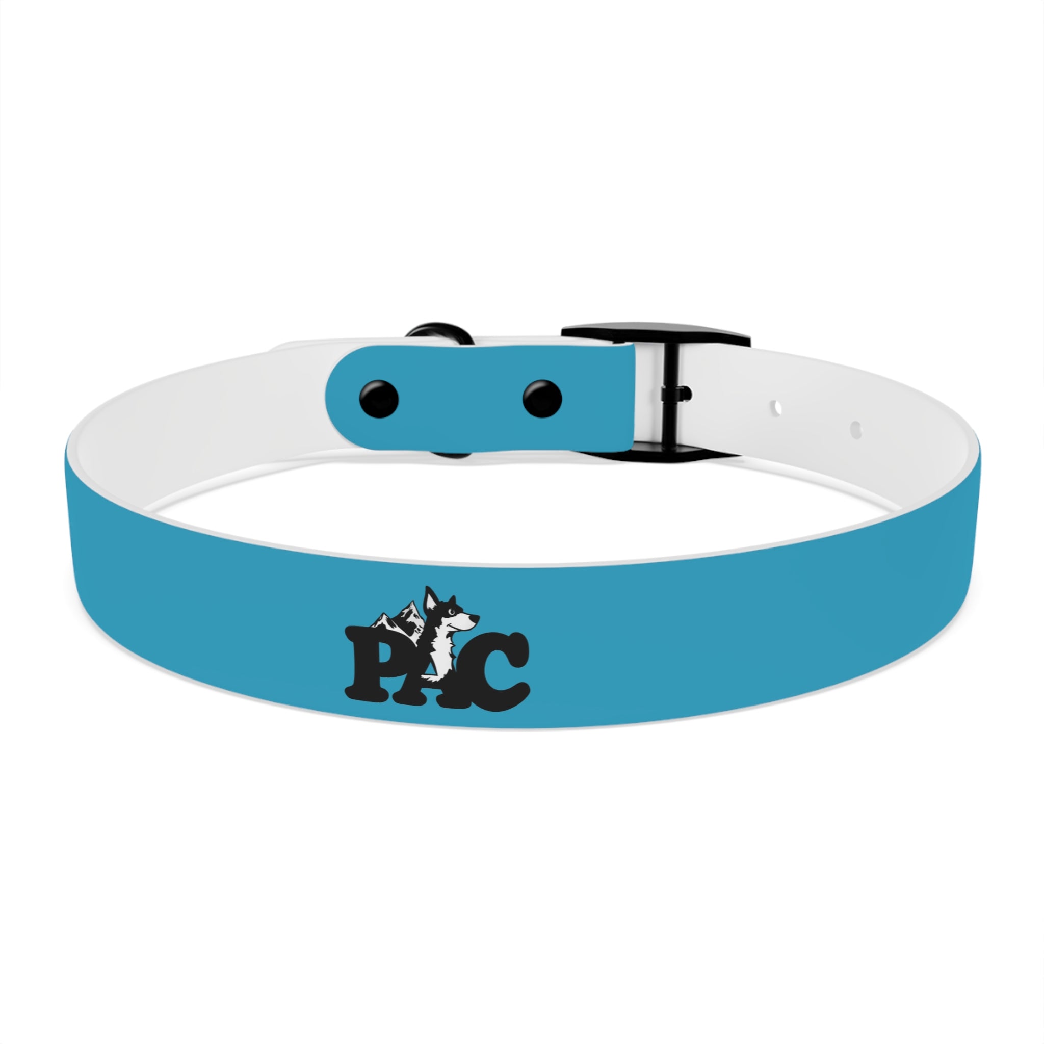 Waterproof Dog Collar | Turquoise
