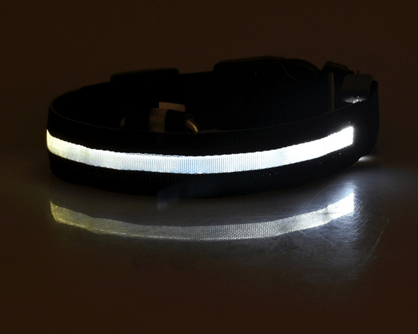 Luminous Glow-In-The-Dark Led Pet Collar