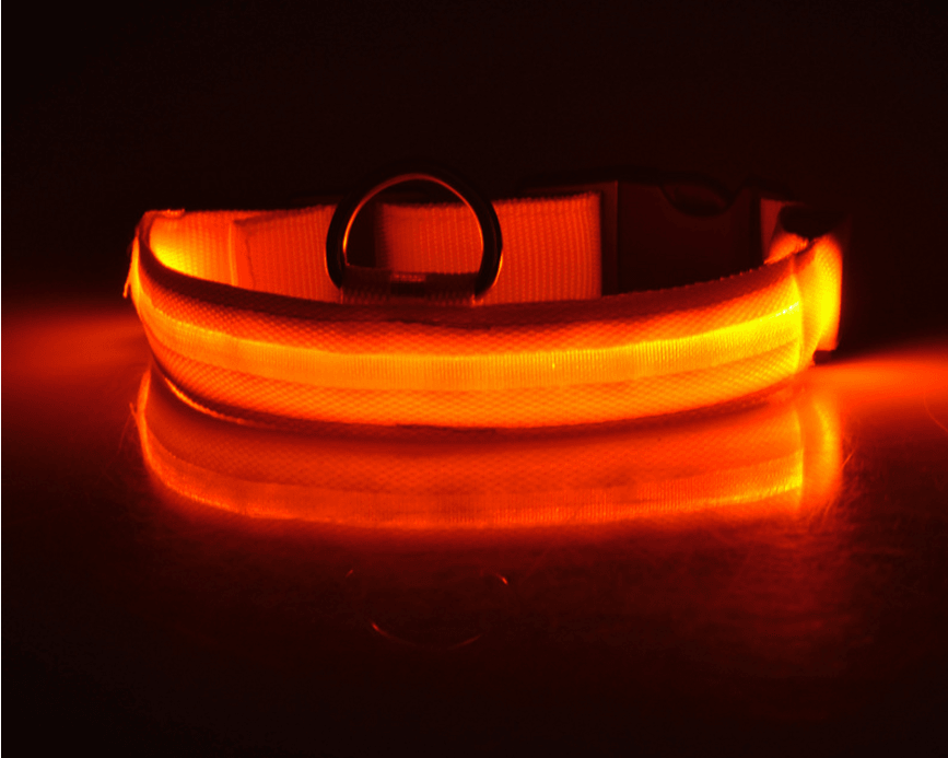 Luminous Glow-In-The-Dark Led Pet Collar