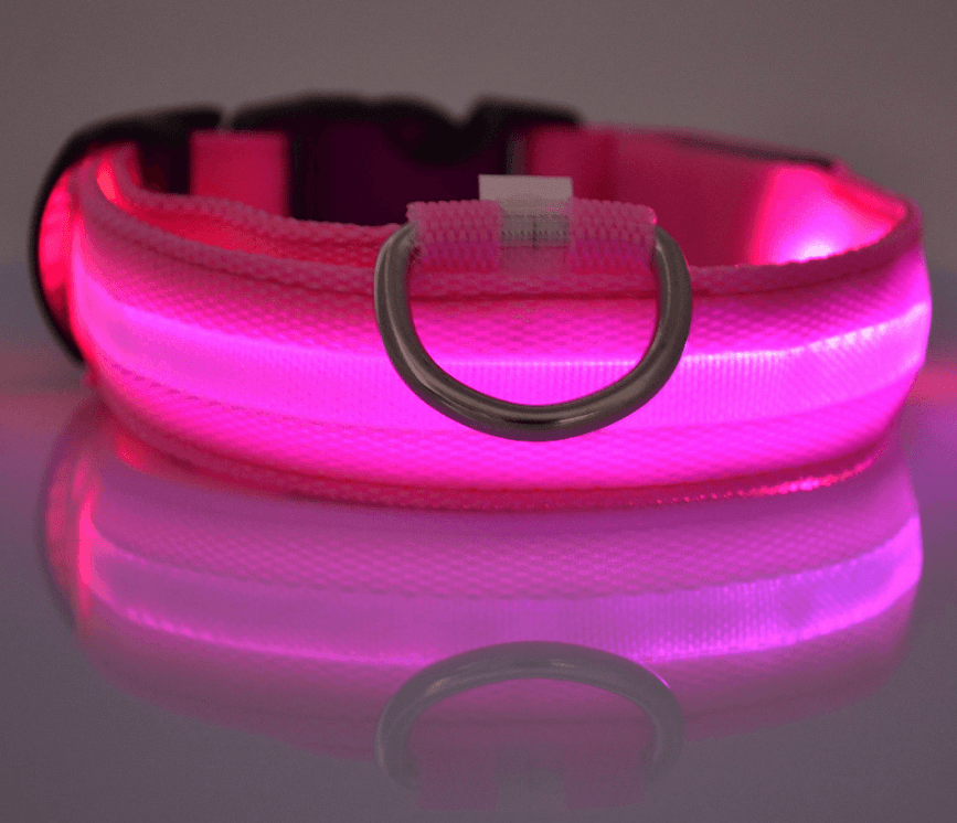 Luminous Glow-In-The-Dark Led Pet Collar