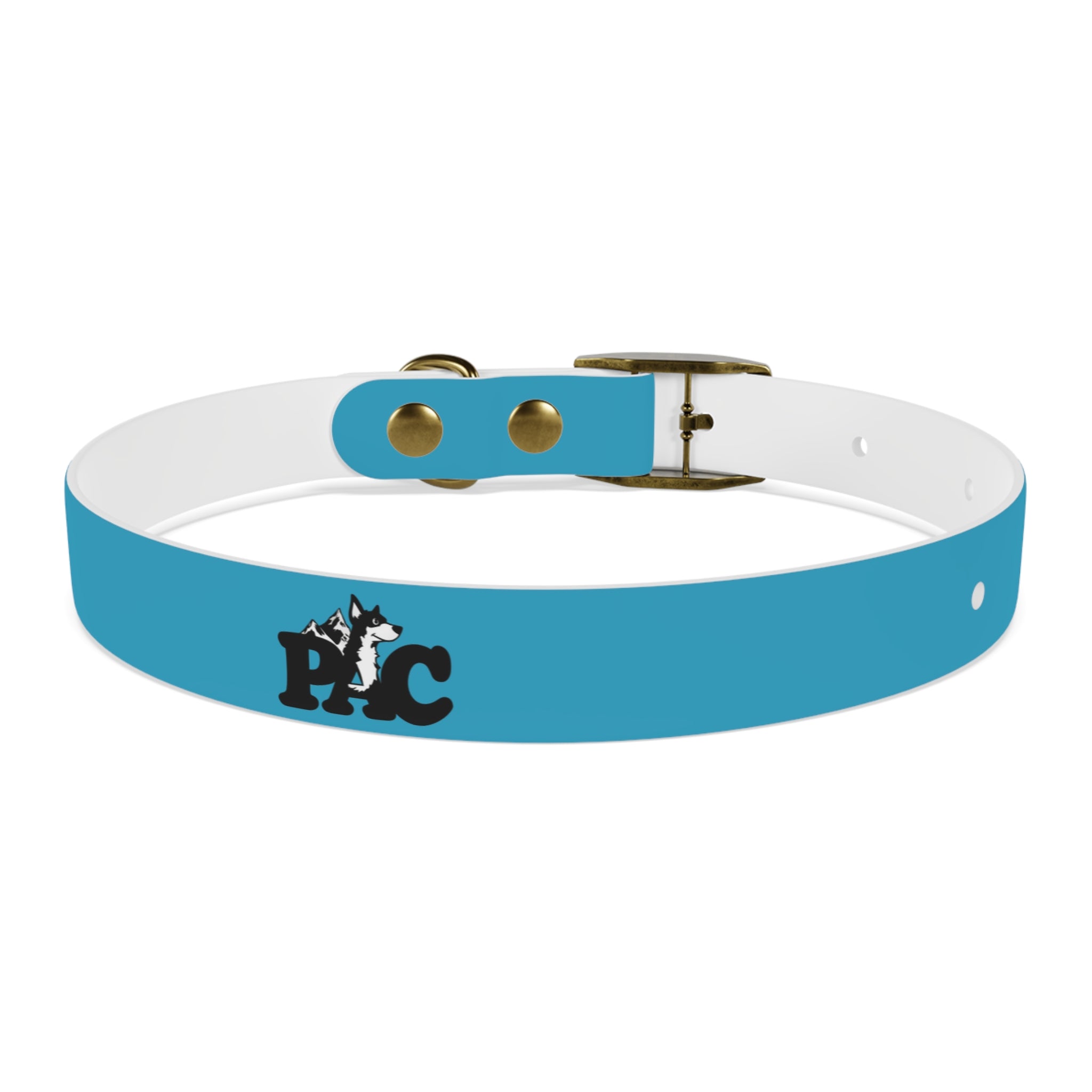 Waterproof Dog Collar | Turquoise