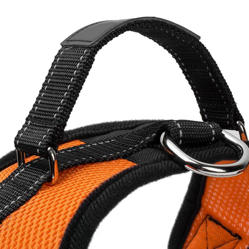Explosion-Proof Net Cloth Dog Chest Harness