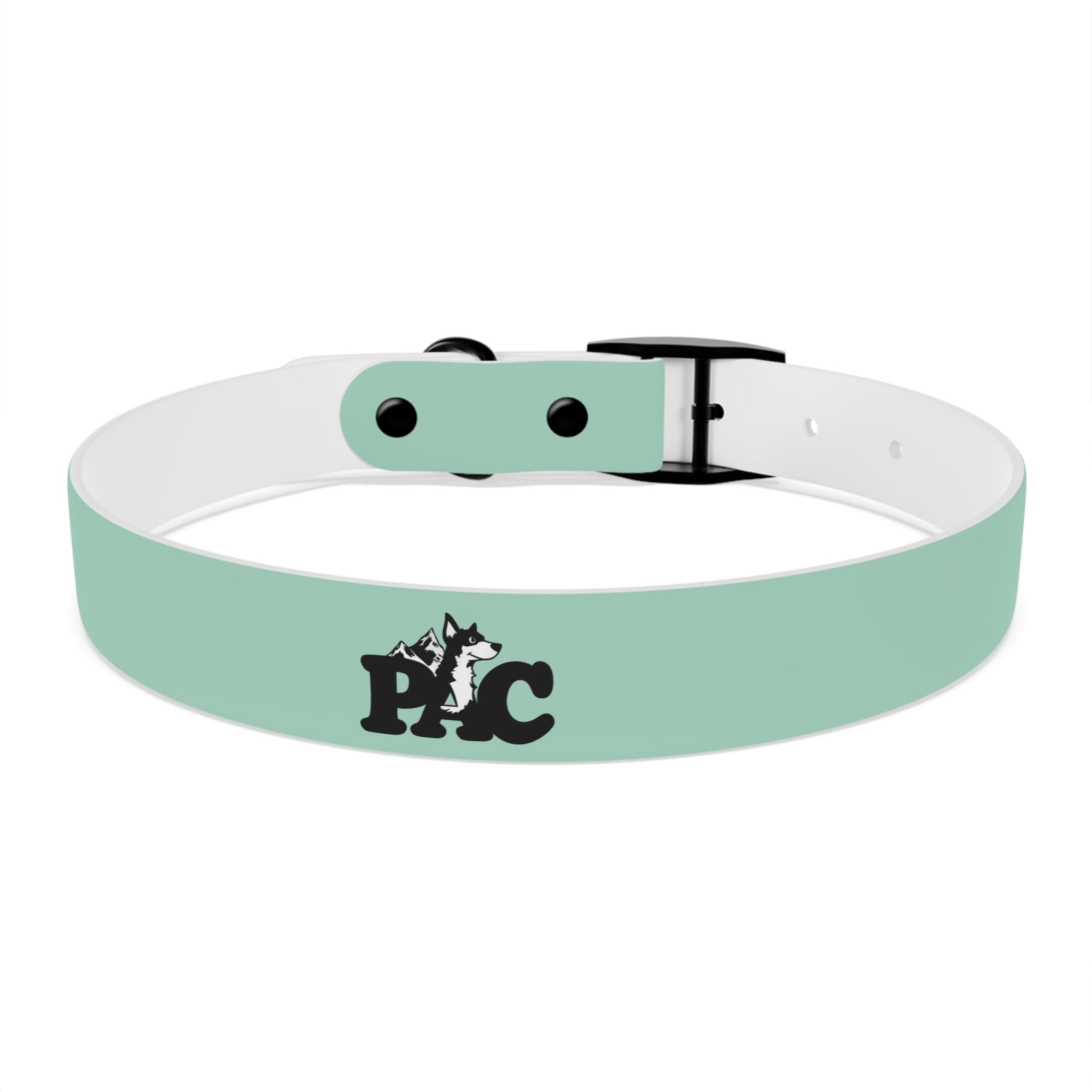 Waterproof Dog Collar | Mint