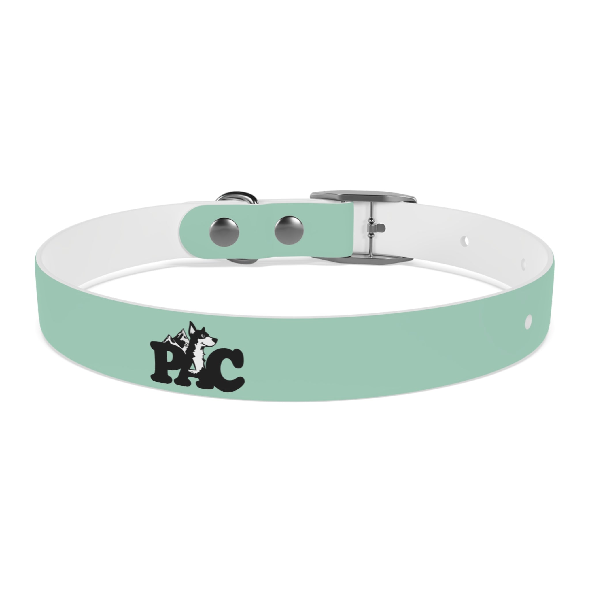 Waterproof Dog Collar | Mint
