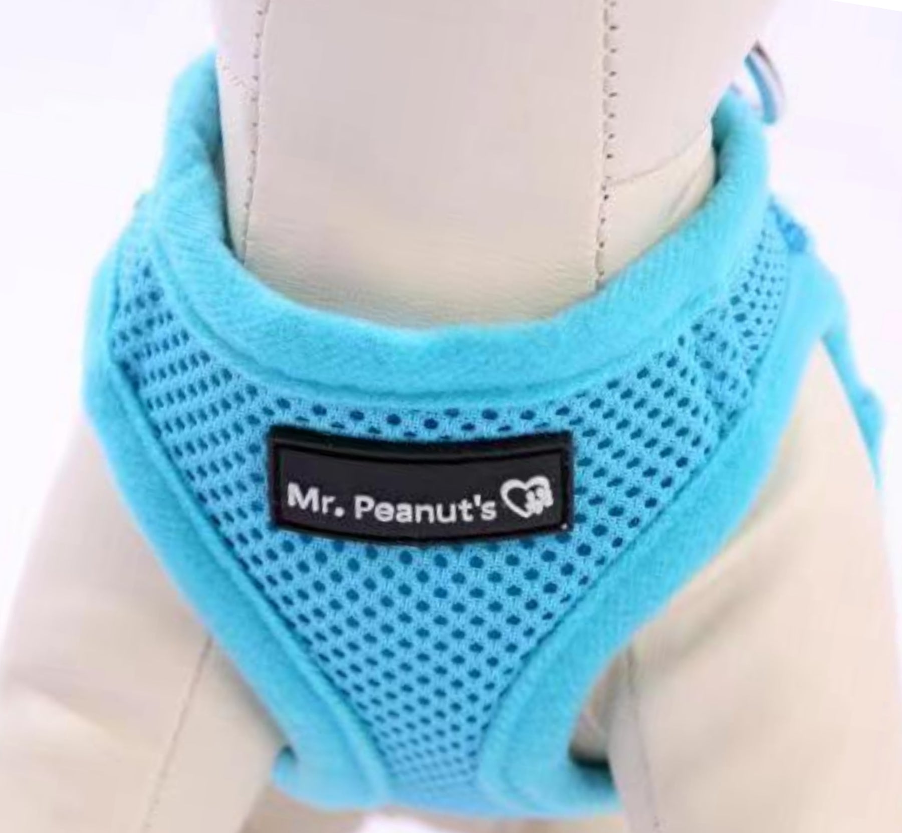 Mr. Peanut's Harness with Matching Leash