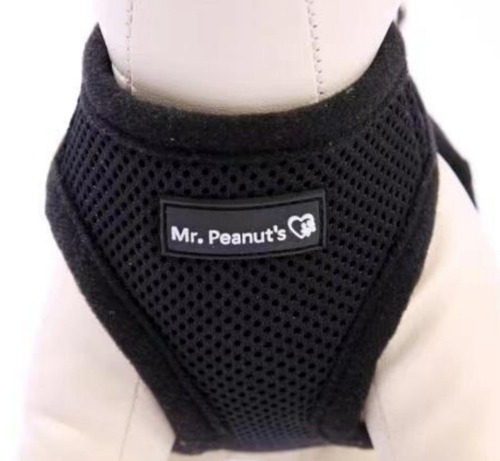 Mr. Peanut's Harness with Matching Leash