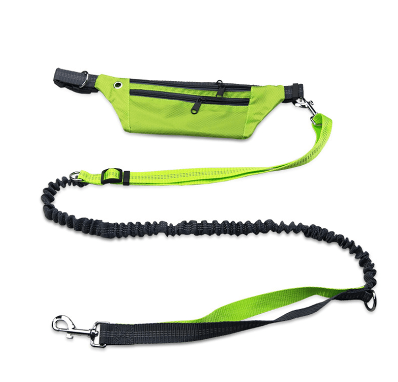 Hands-Free Dog Leash