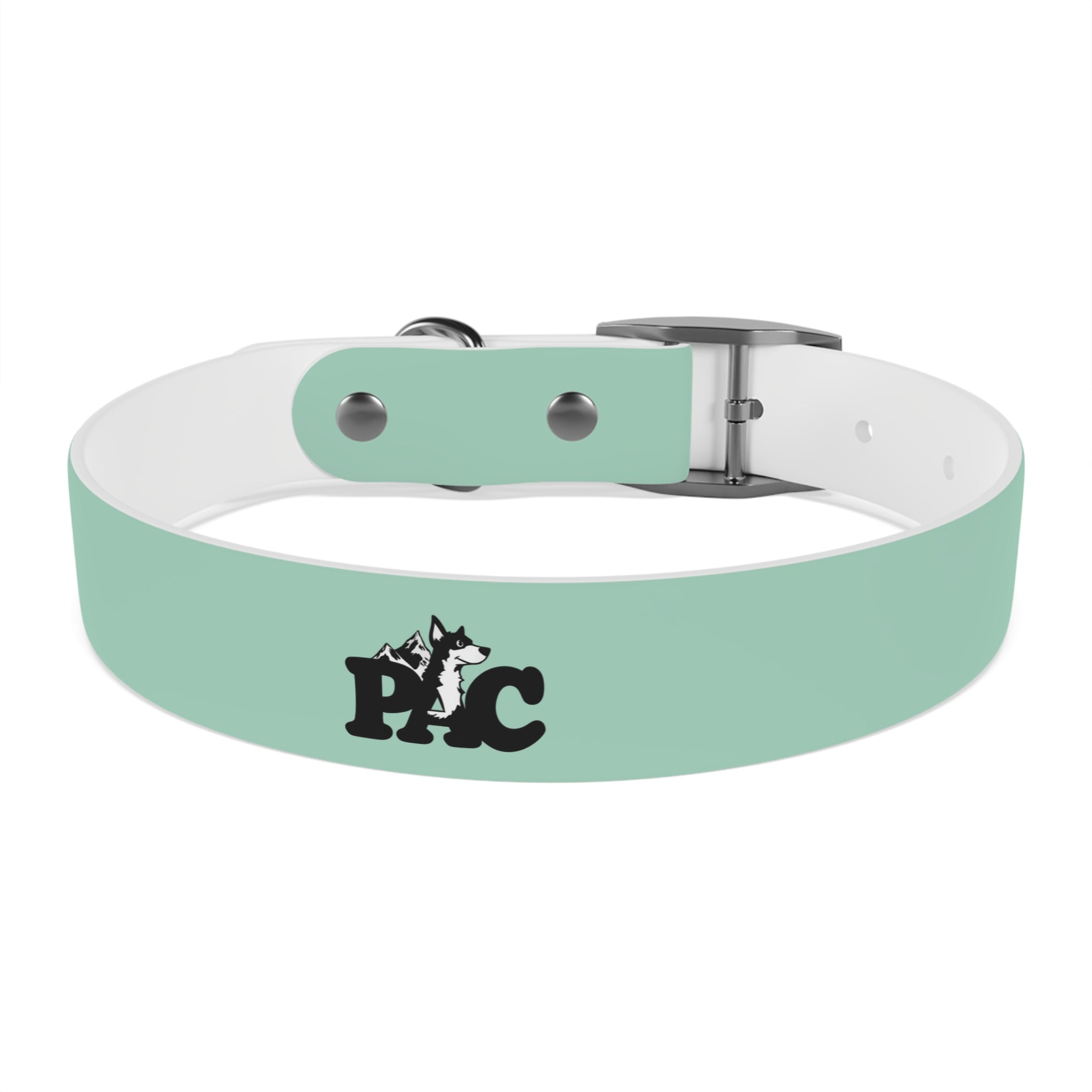 Waterproof Dog Collar | Mint