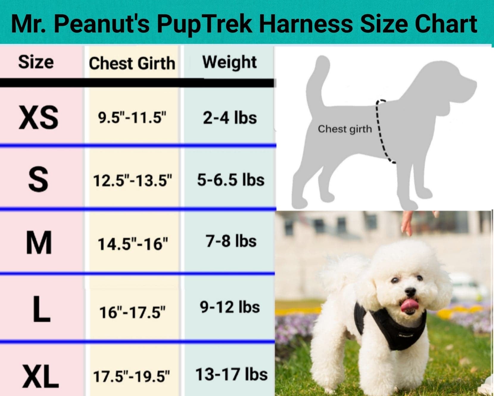 Mr. Peanut's Harness with Matching Leash
