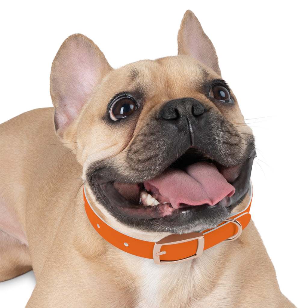 Waterproof Dog Collar | Orange