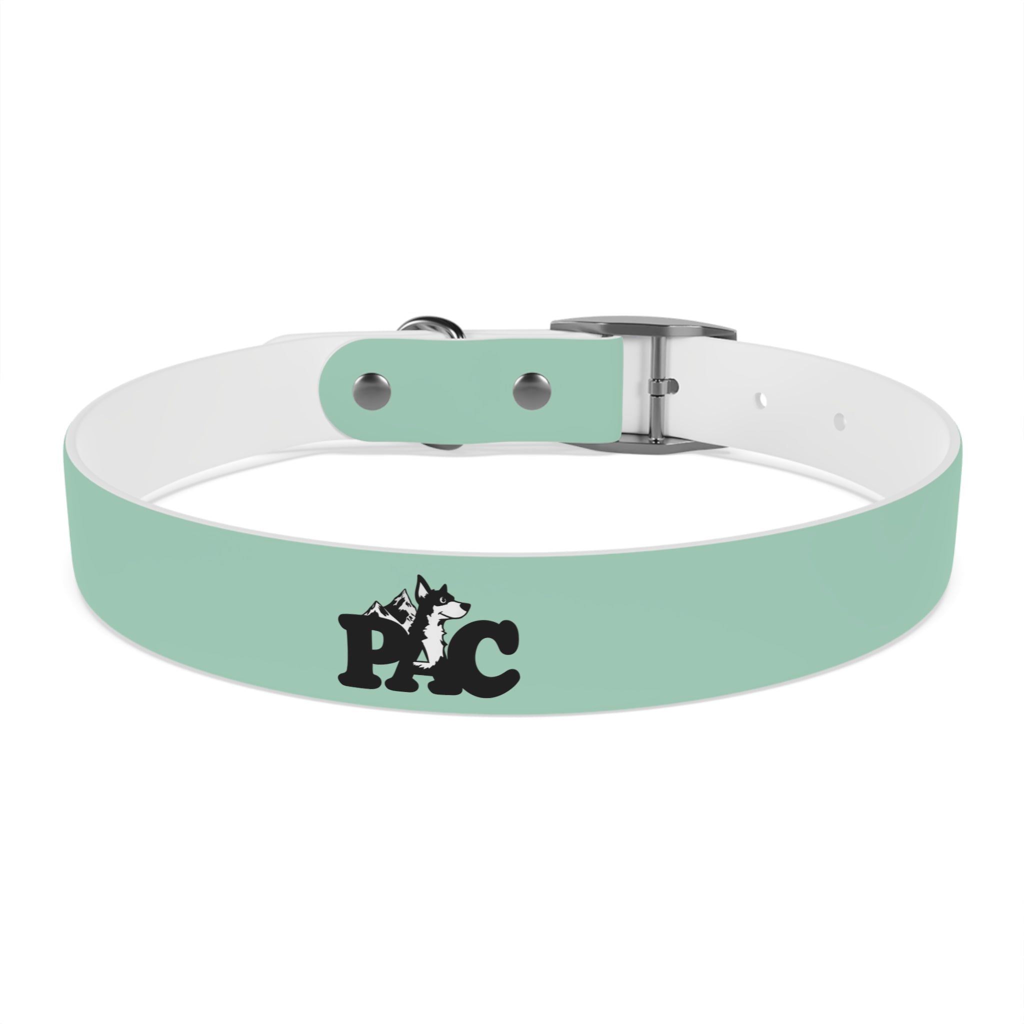 Waterproof Dog Collar | Mint