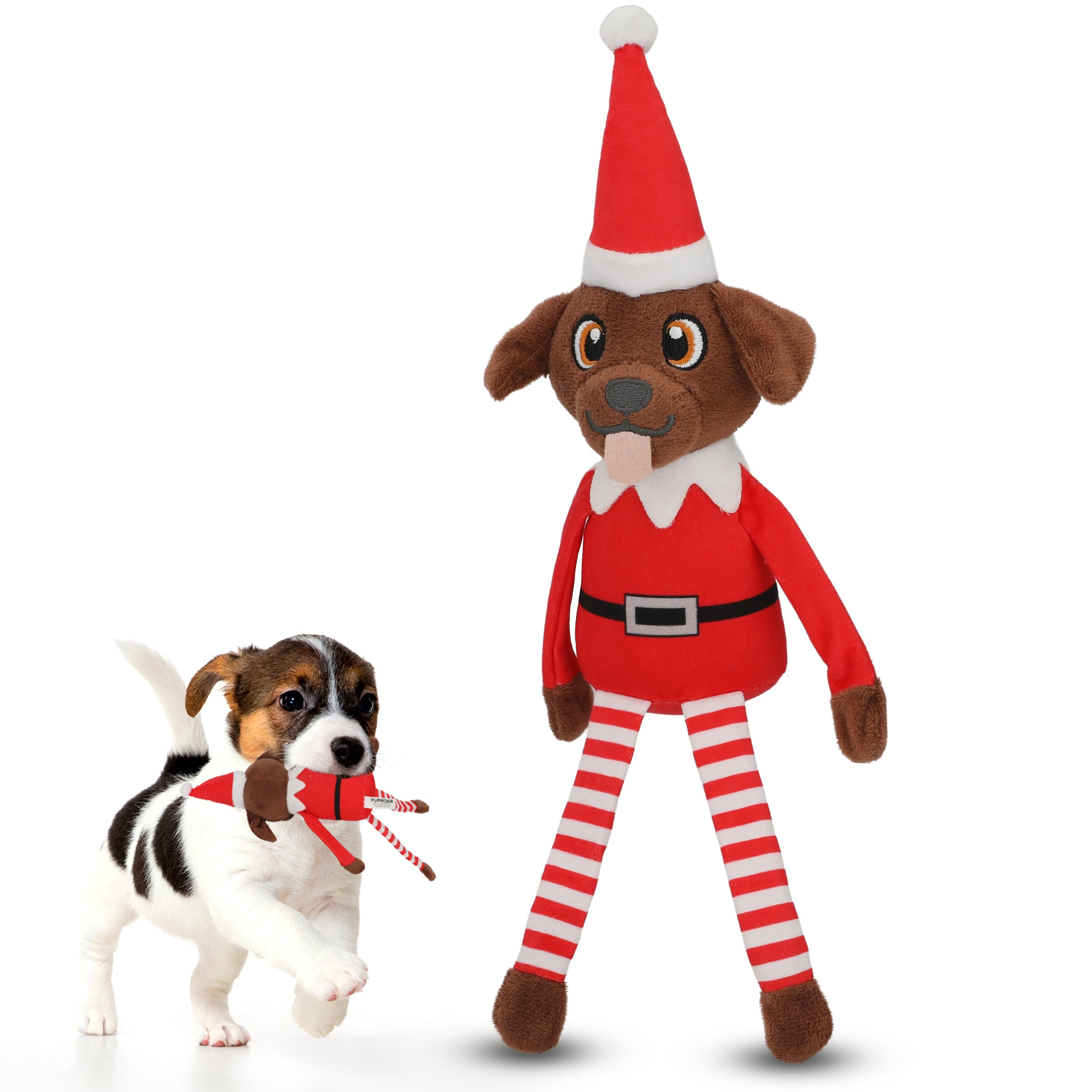 PUPROAR Pooch on a Perch | Elf Dog Toy