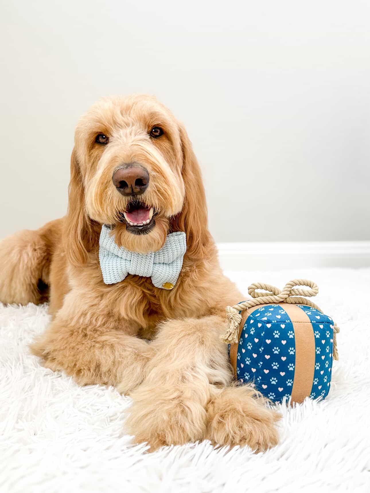 PUPROAR Gift Box Dog Toy