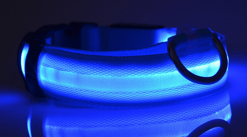 Luminous Glow-In-The-Dark Led Pet Collar