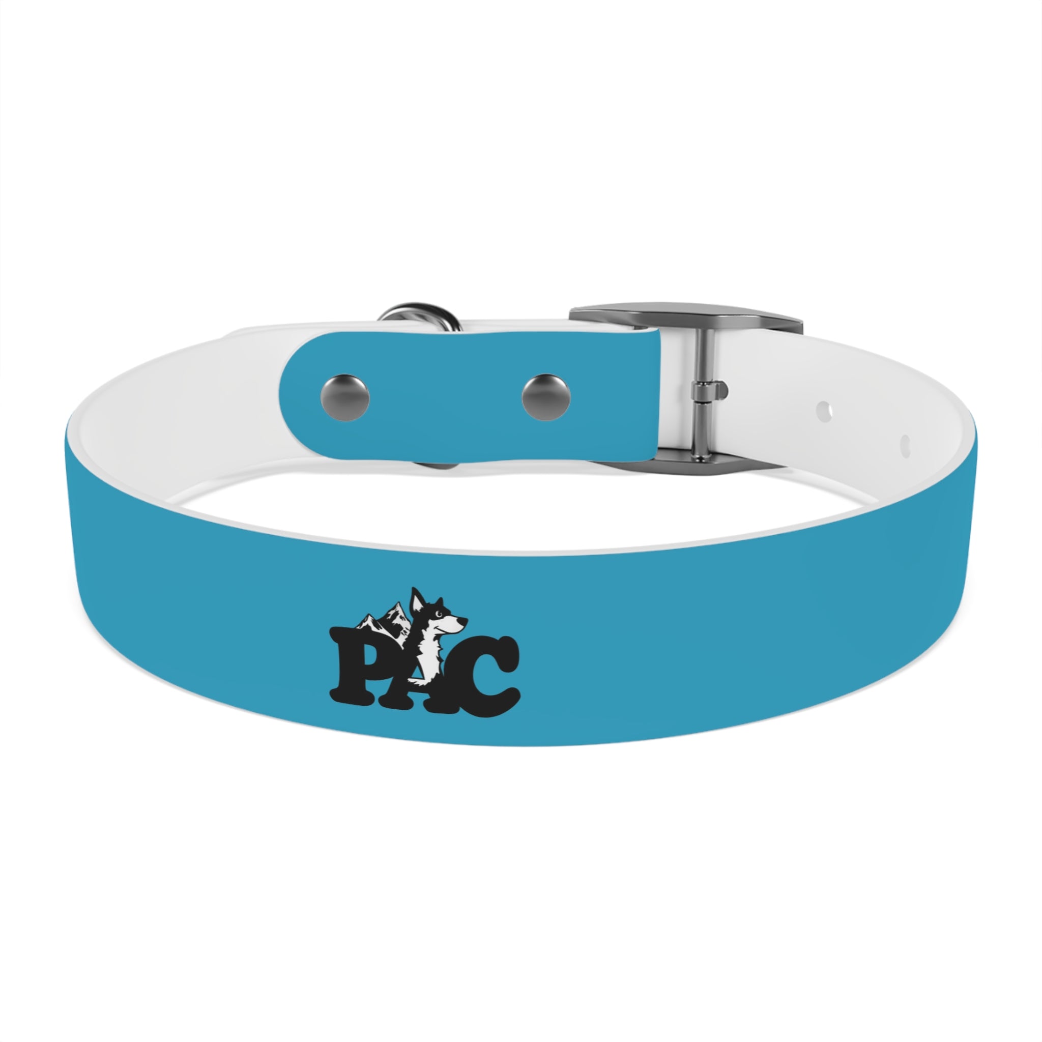 Waterproof Dog Collar | Turquoise