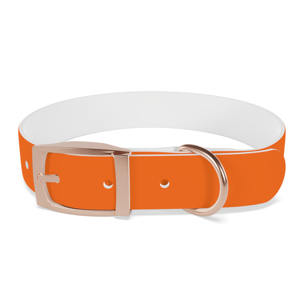 Waterproof Dog Collar | Orange