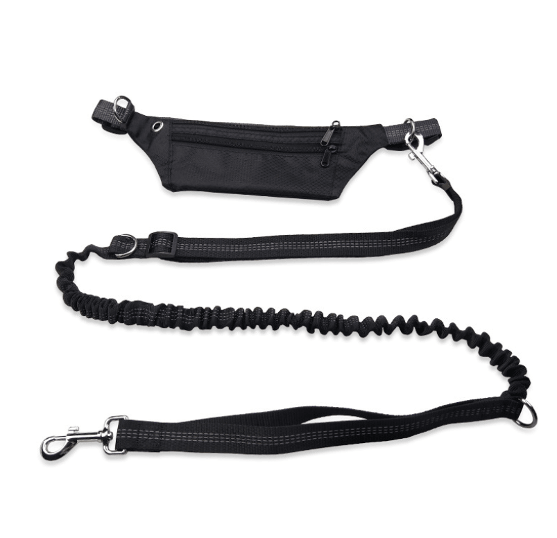 Hands-Free Dog Leash
