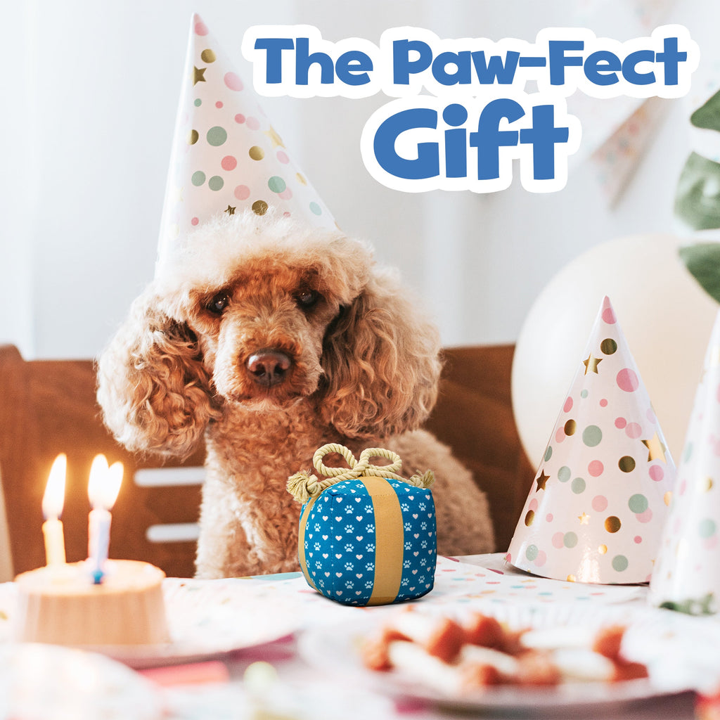 PUPROAR Gift Box Dog Toy