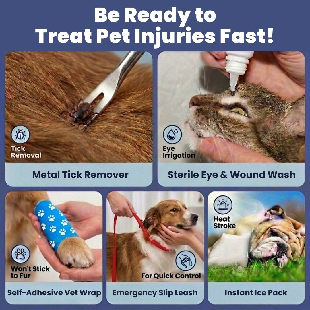 Pet First Aid Kit for Dogs