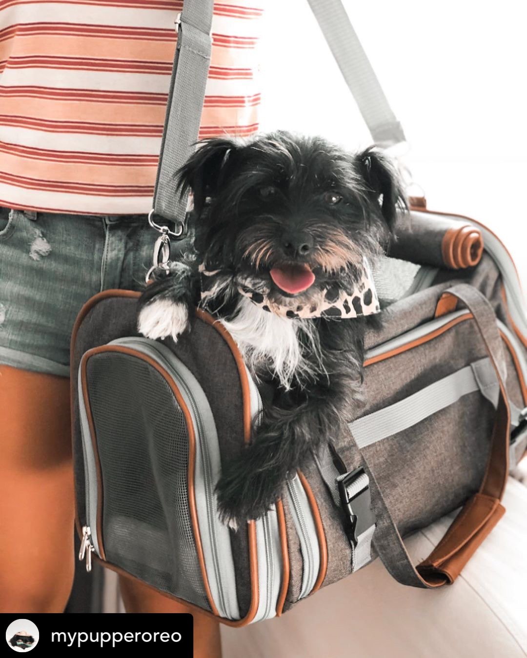 Mr. Peanut's Gold Series Airline Pet Carrier