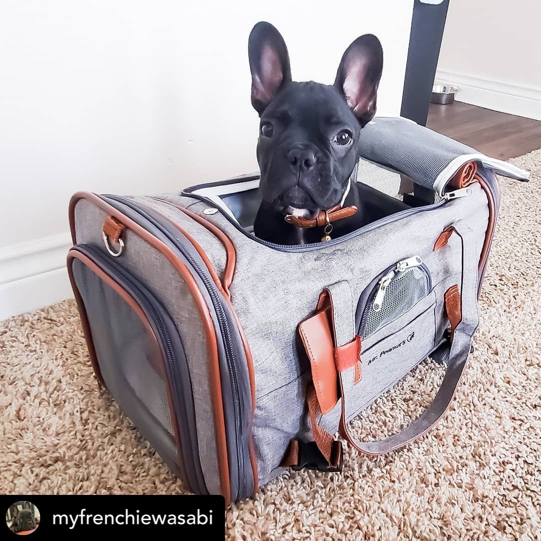 Mr. Peanut's Gold Series Airline Pet Carrier