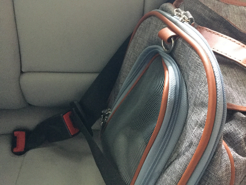Mr. Peanut's Gold Series Airline Pet Carrier