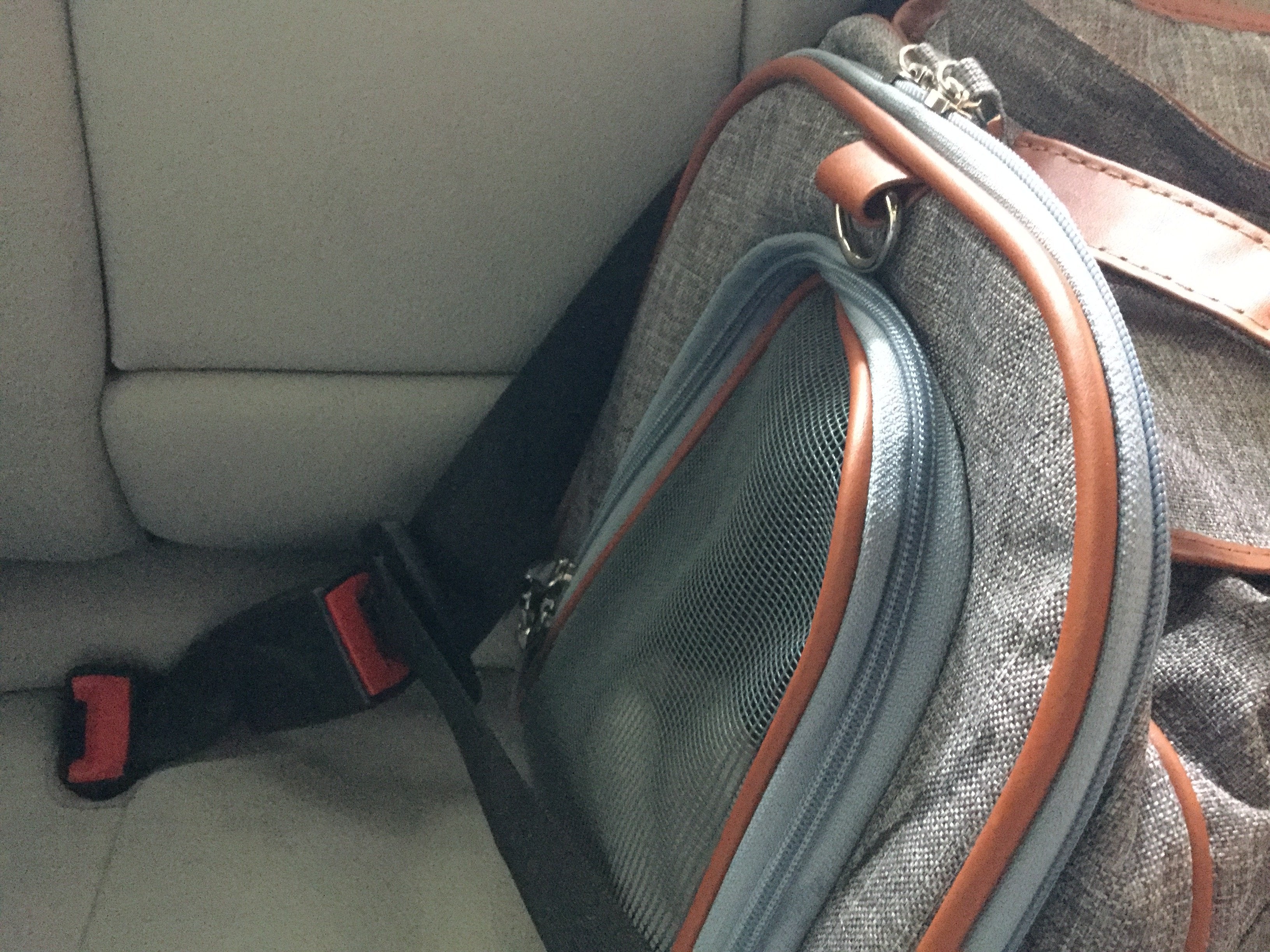 Mr. Peanut's Gold Series Airline Pet Carrier