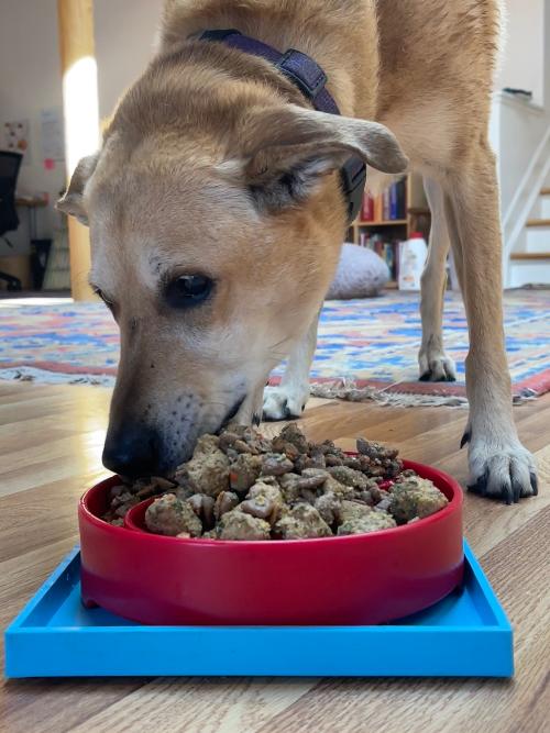 Suction Cup Holder for Dog Bowls & Lick Mats