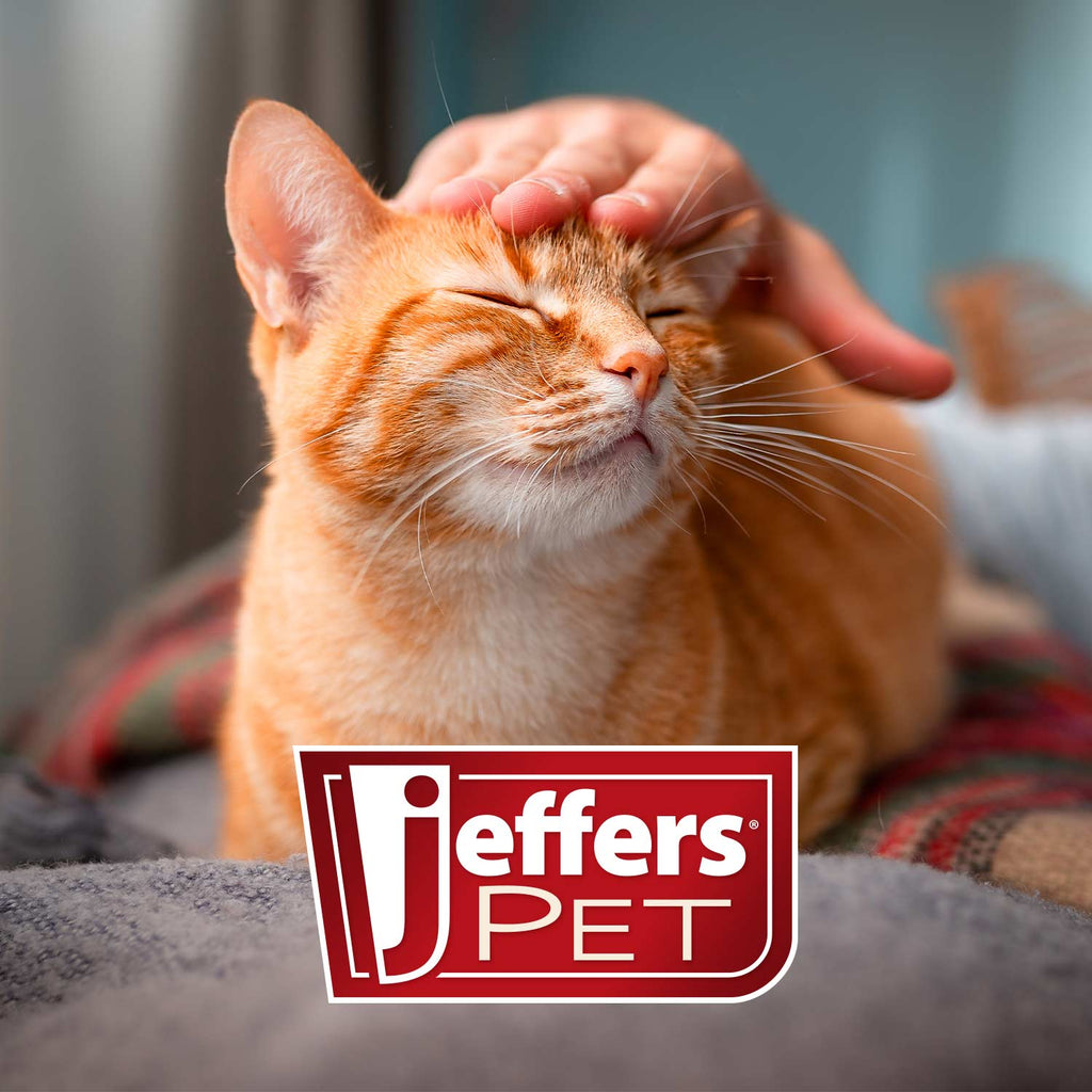 Jeffers Undercoat Rake for Pet Grooming