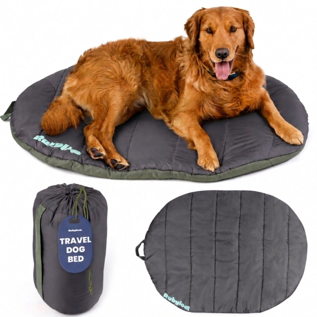 Travel Bed - Foldable & Packable