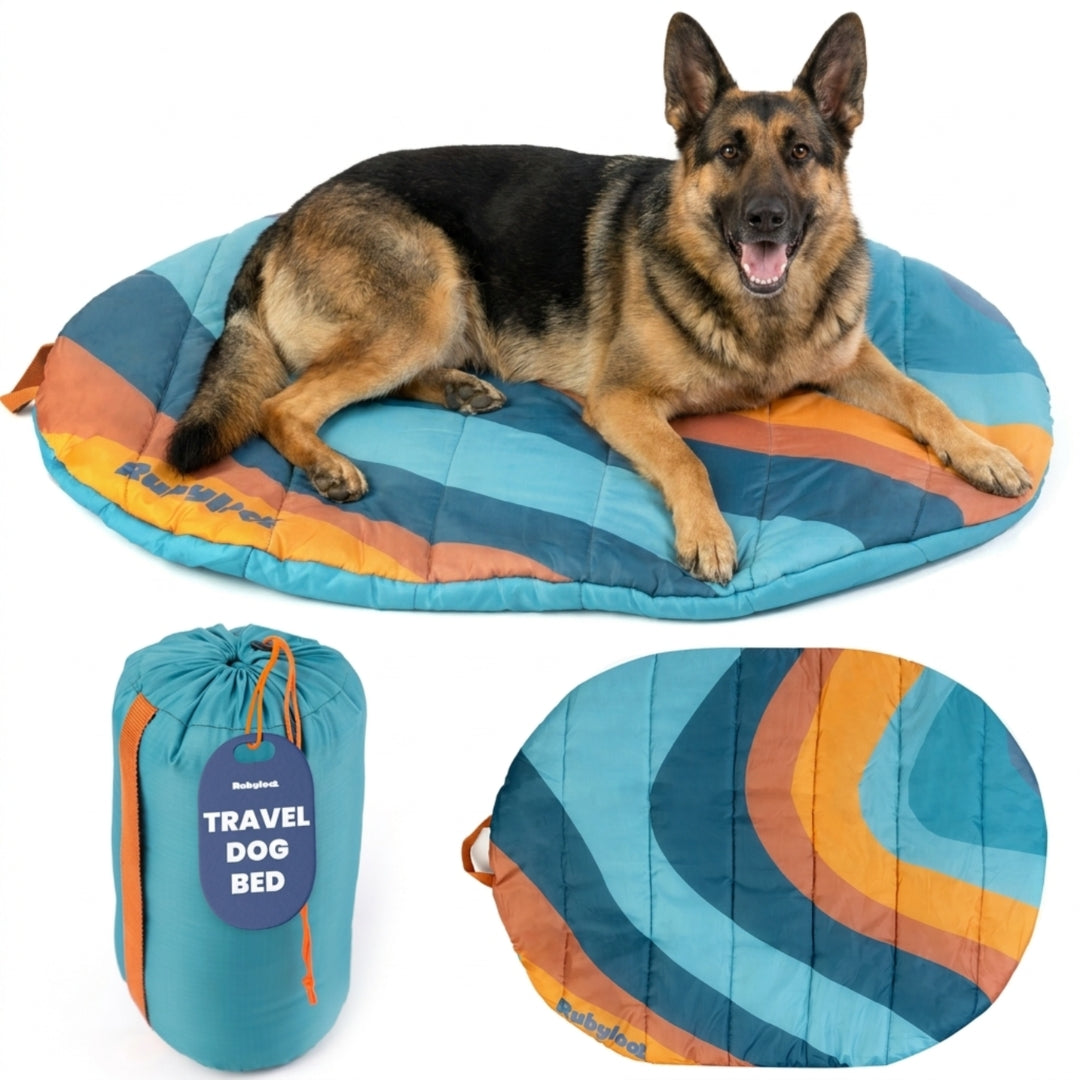 Travel Bed - Foldable & Packable