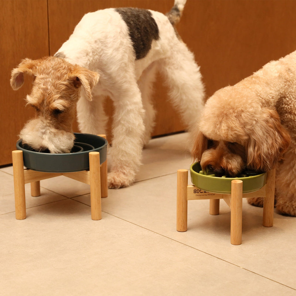 [Wave] Slow Feeder Dog Bowls