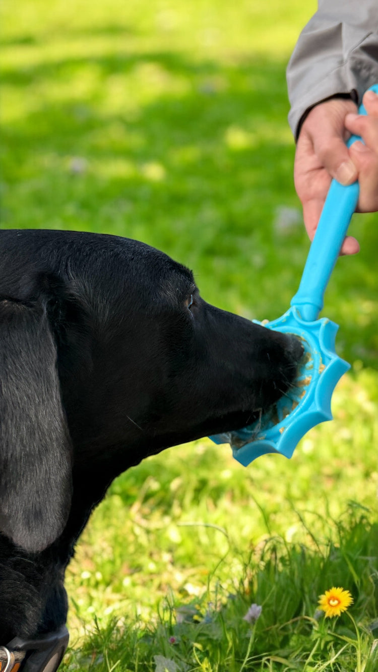 eStick Hand-Held Dog Enrichment Toy