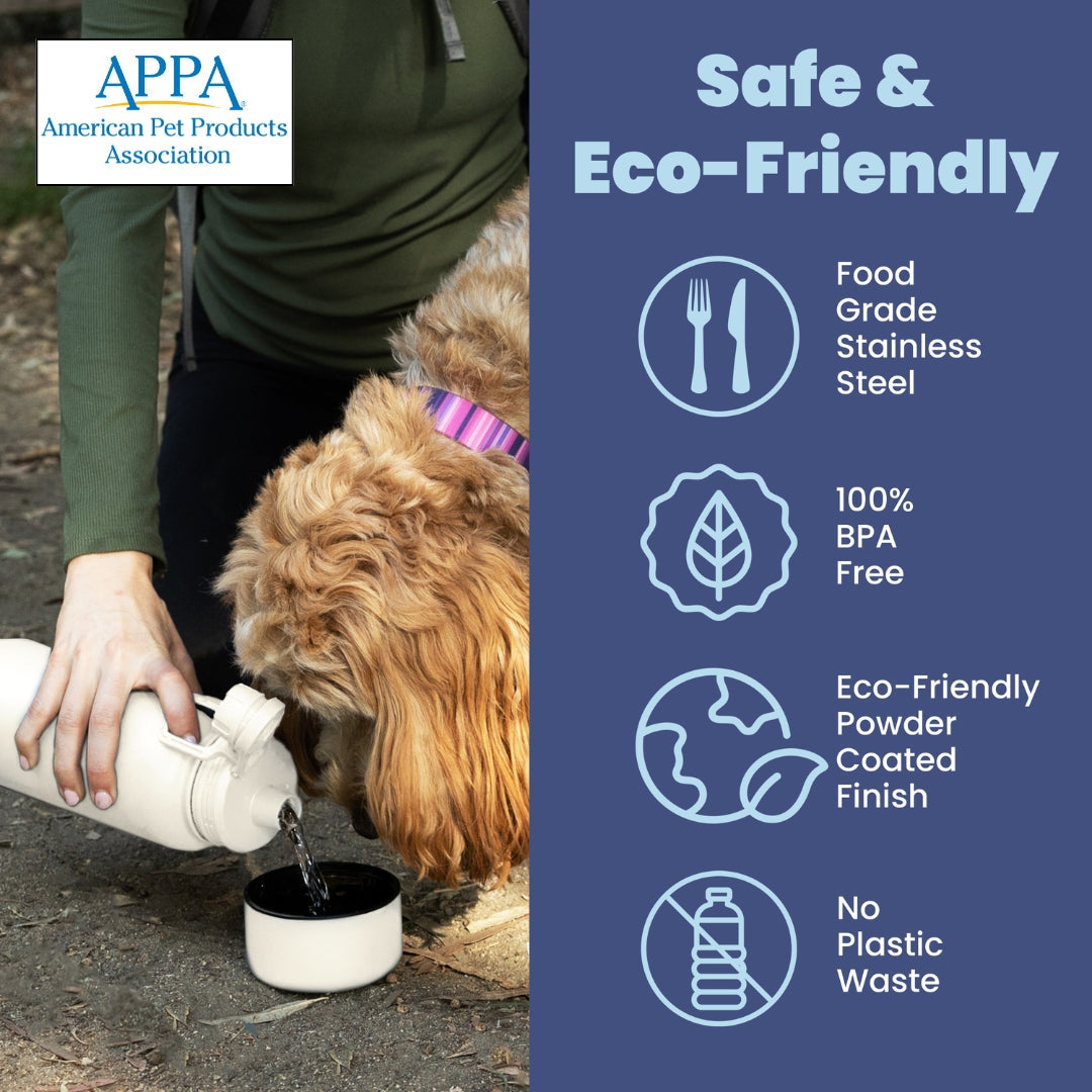 Water Bottle with Detachable Dog Bowl