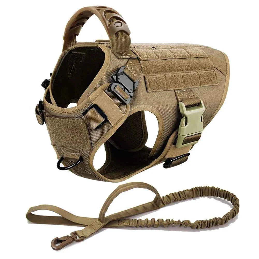 Heavy Duty No Pull Dog Harness and Leash Set