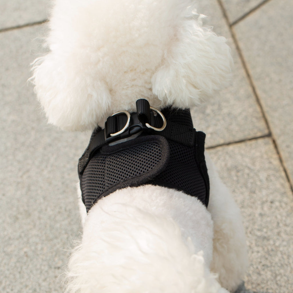 Mr. Peanut's Harness with Matching Leash