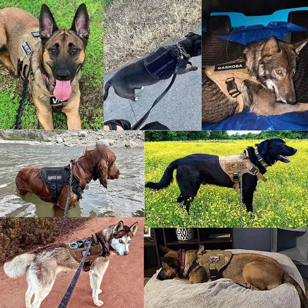 Heavy Duty No Pull Dog Harness and Leash Set