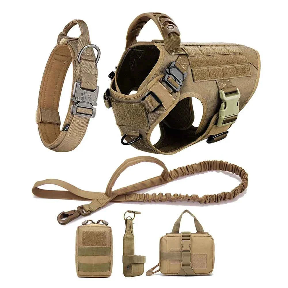 Heavy Duty No Pull Dog Harness and Leash Set