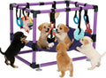 Indoor Puppy Play Gym with Hammock 8 Toys