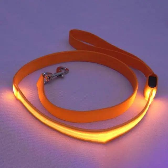 Adjustable Safety Seat Belt