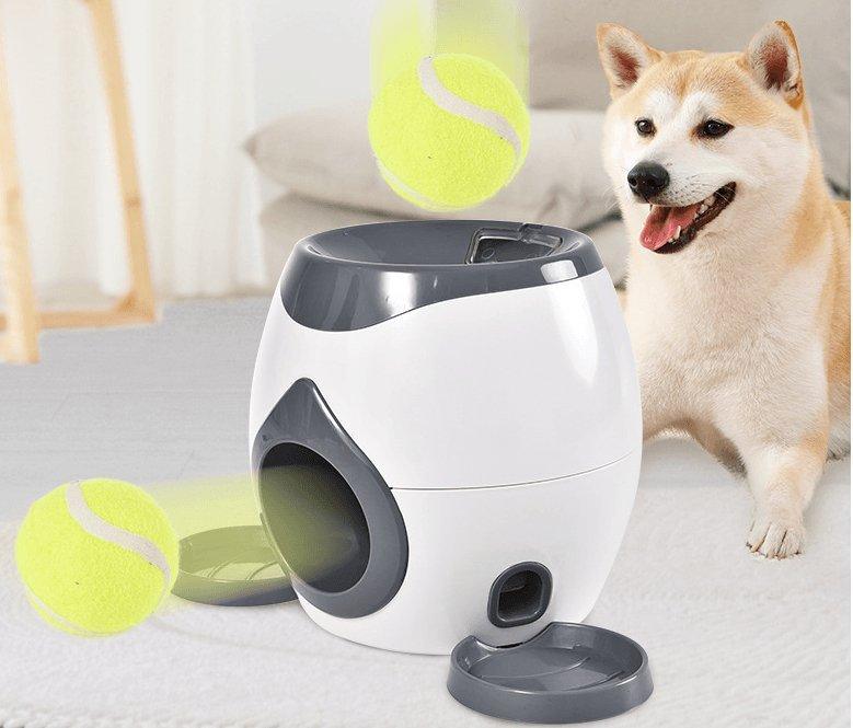 Automatic Ball Launcher And Feeder