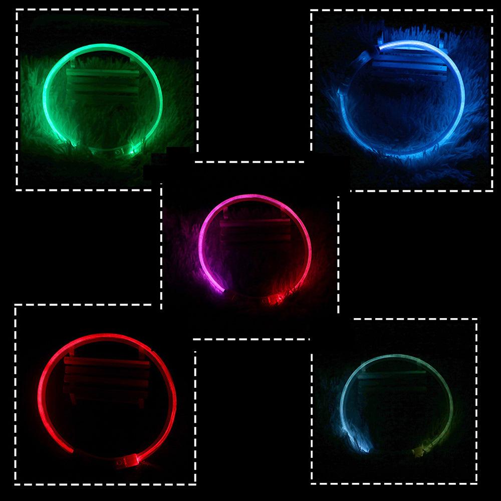 Glow-In-The-Dark Collar