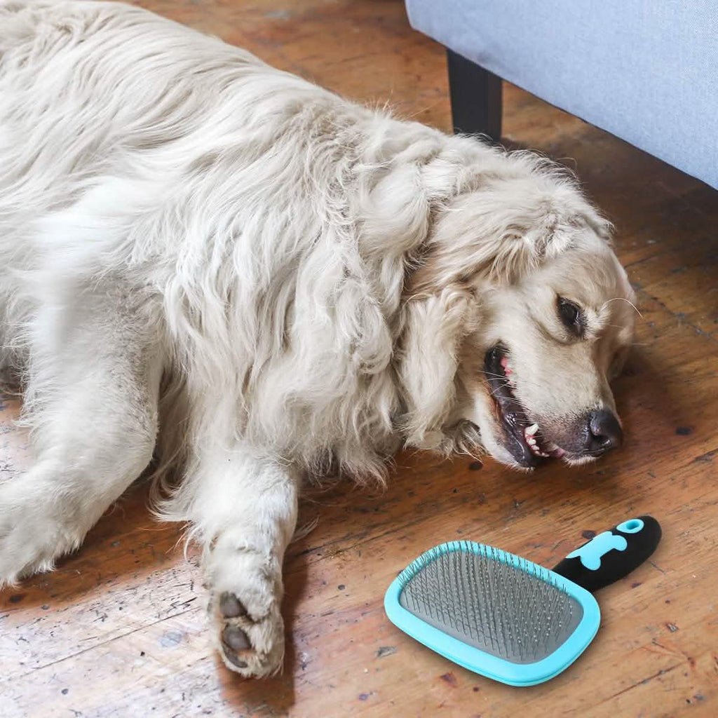 Glendan Dog Brush