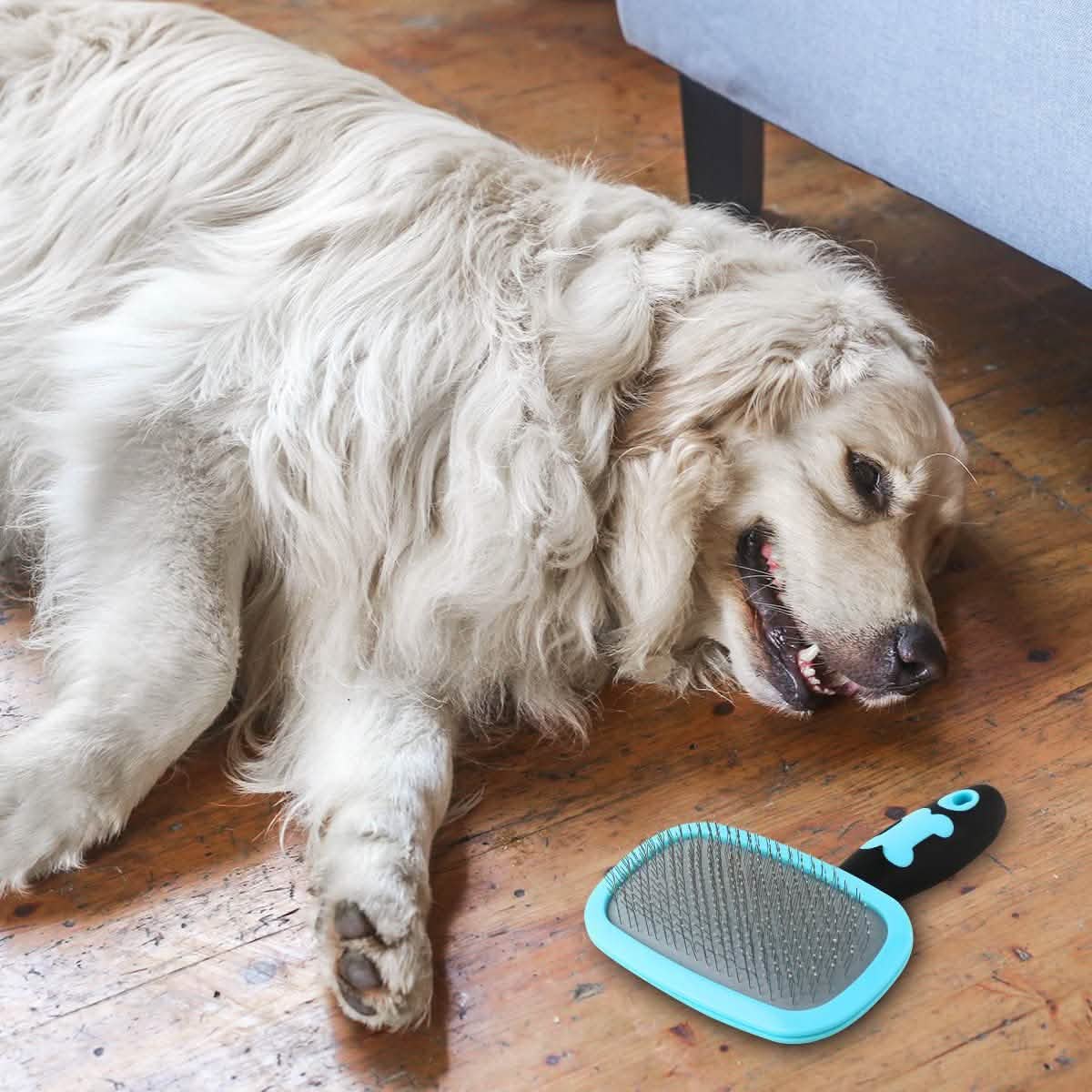 Glendan Dog Brush