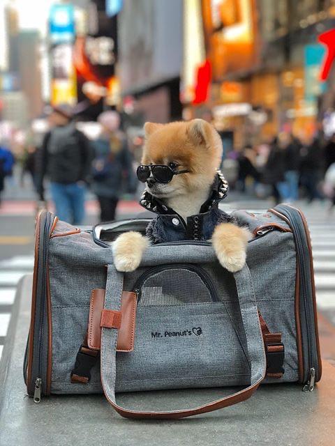Mr. Peanut's Gold Series Airline Pet Carrier