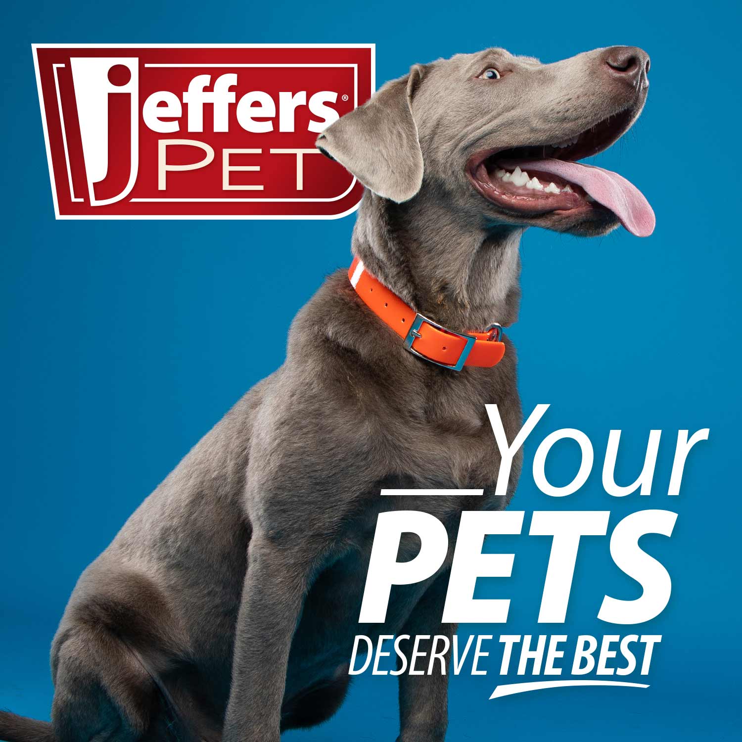 Jeffers Self-Cleaning Pet Grooming Brush