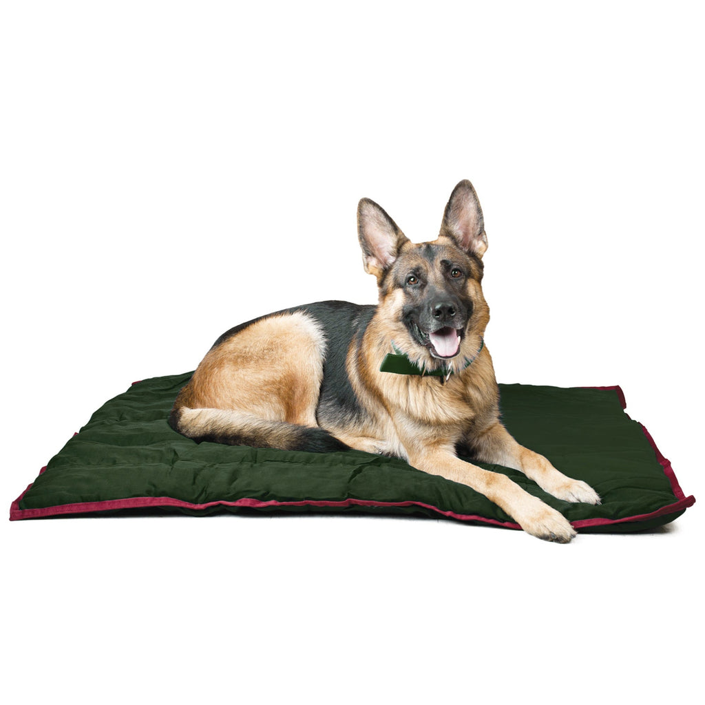 Jeffers Pet Washable Comfy Dog Pillow