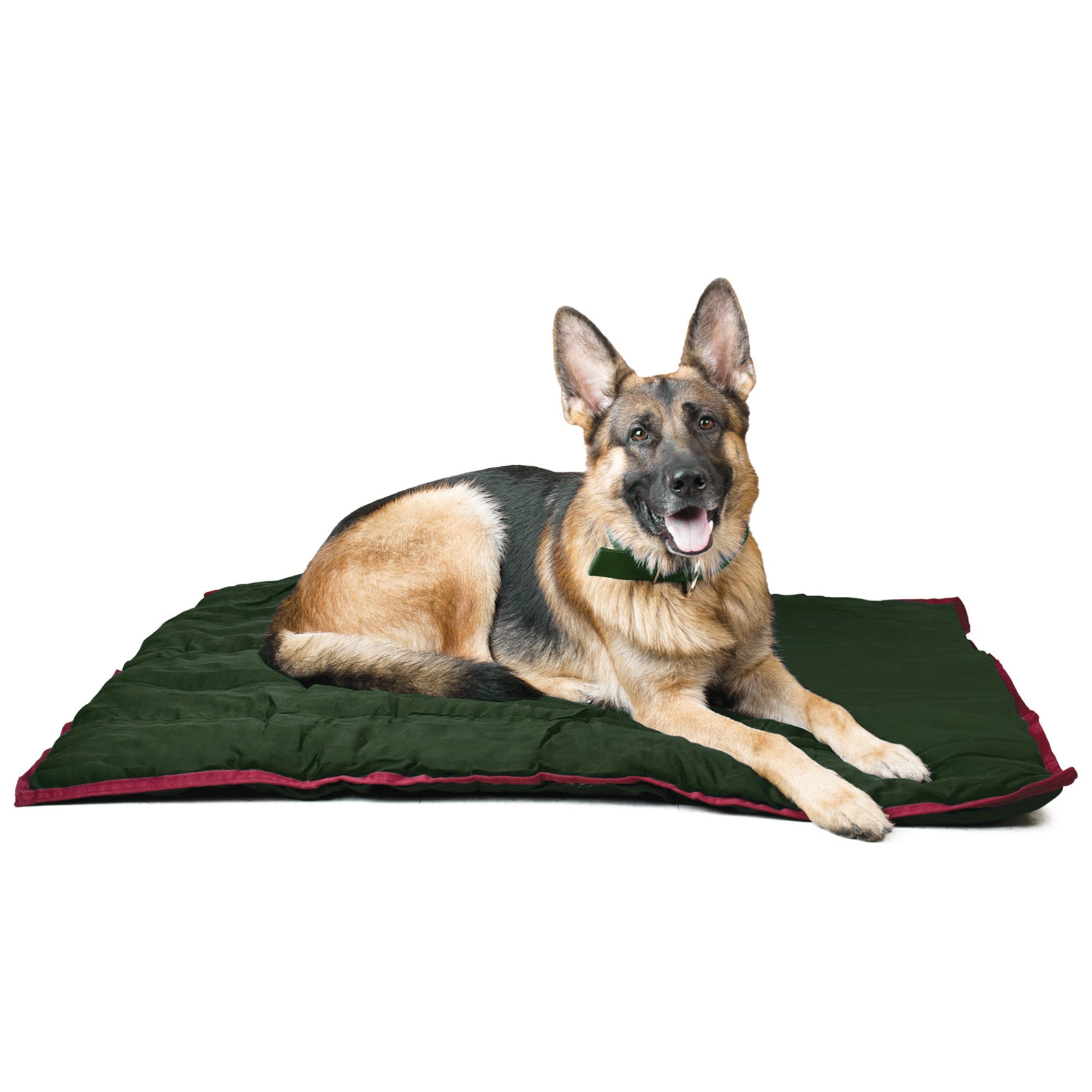 Jeffers Pet Washable Comfy Dog Pillow