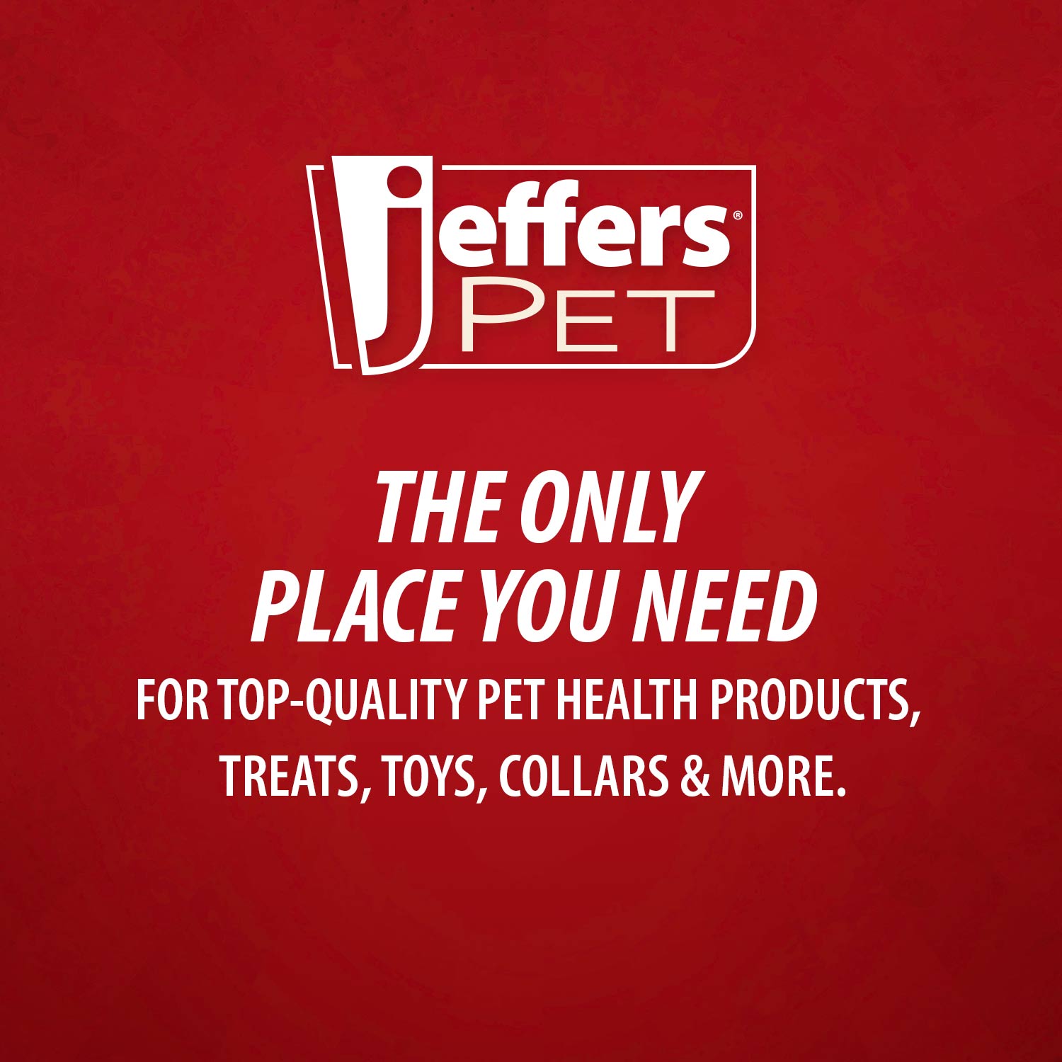 Jeffers Self-Cleaning Pet Grooming Brush